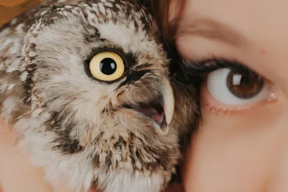 Casino Welcome Bingo Podrška